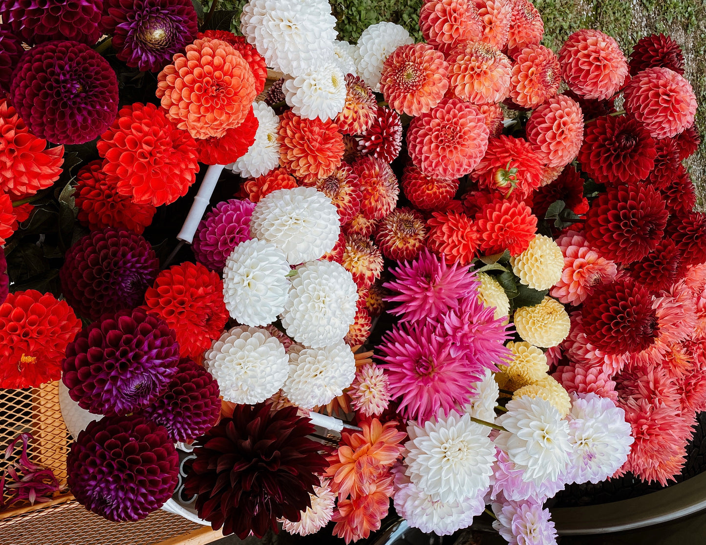 Seasonal Floral Bucket