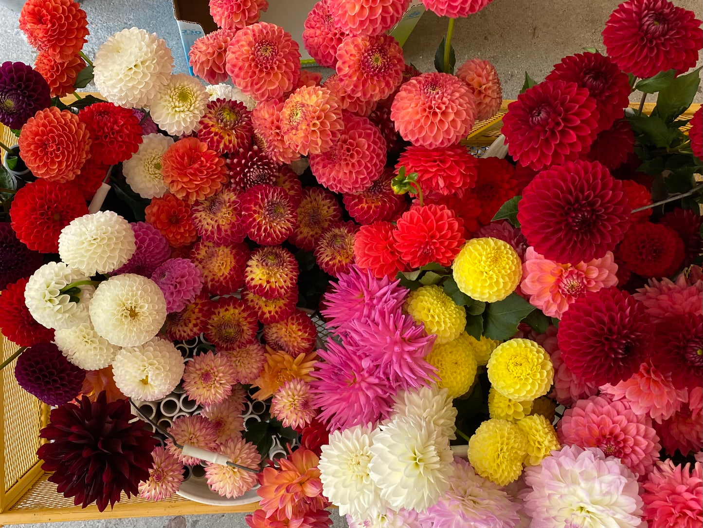Seasonal Floral Bucket